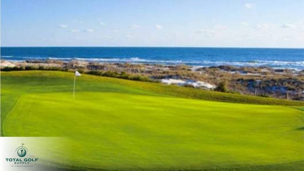 Best Golf Courses near Amelia Island, FL