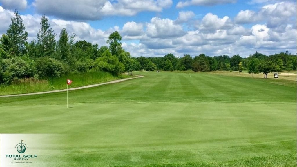 Best Golf Courses near Ann Arbor, MI