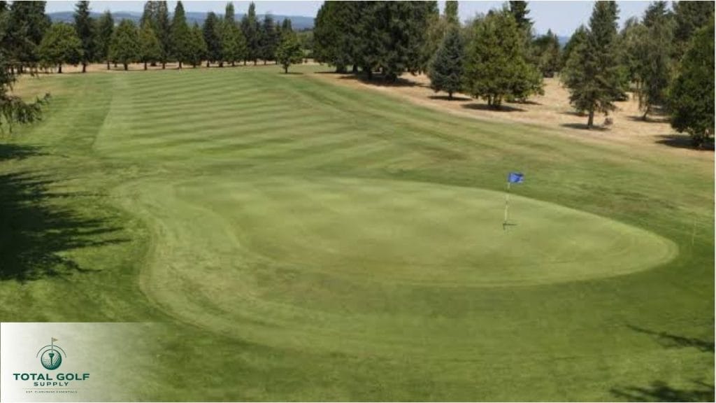 Best Golf Courses near Beaumont, TX