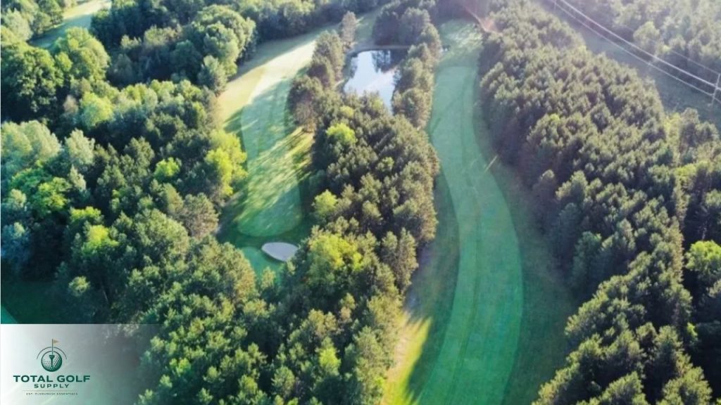 Best Golf Courses near Bellaire, MI