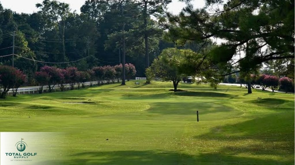 Best Golf Courses near Bessemer, AL