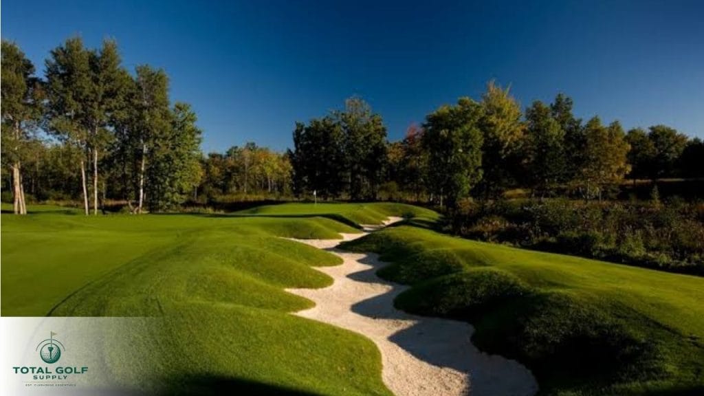 Best Golf Courses near Big Rapids, MI