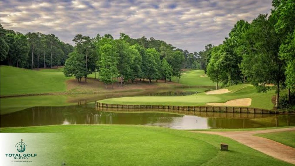 Best Golf Courses near Blythewood, SC