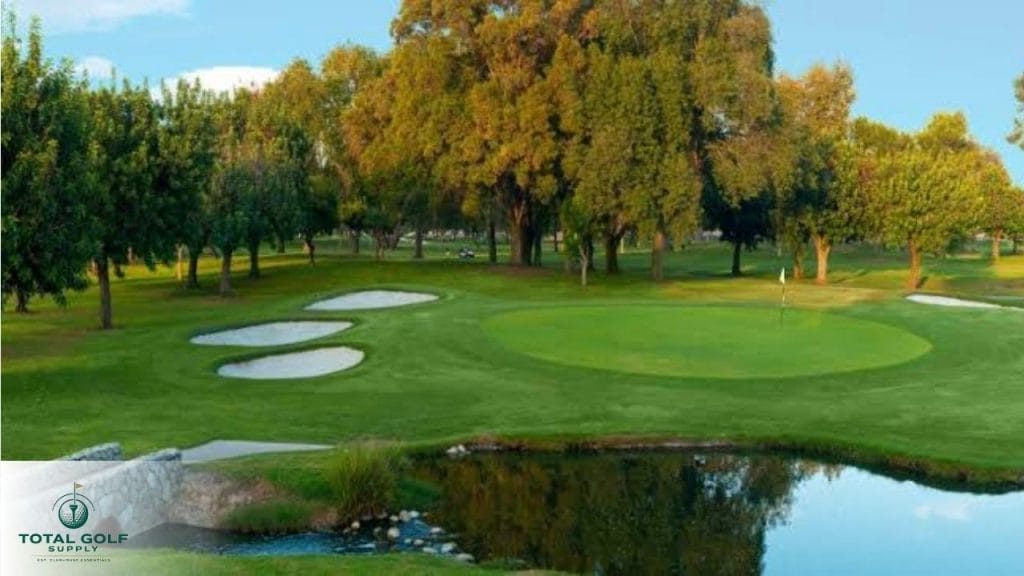 Best Golf Courses near Cadillac, MI