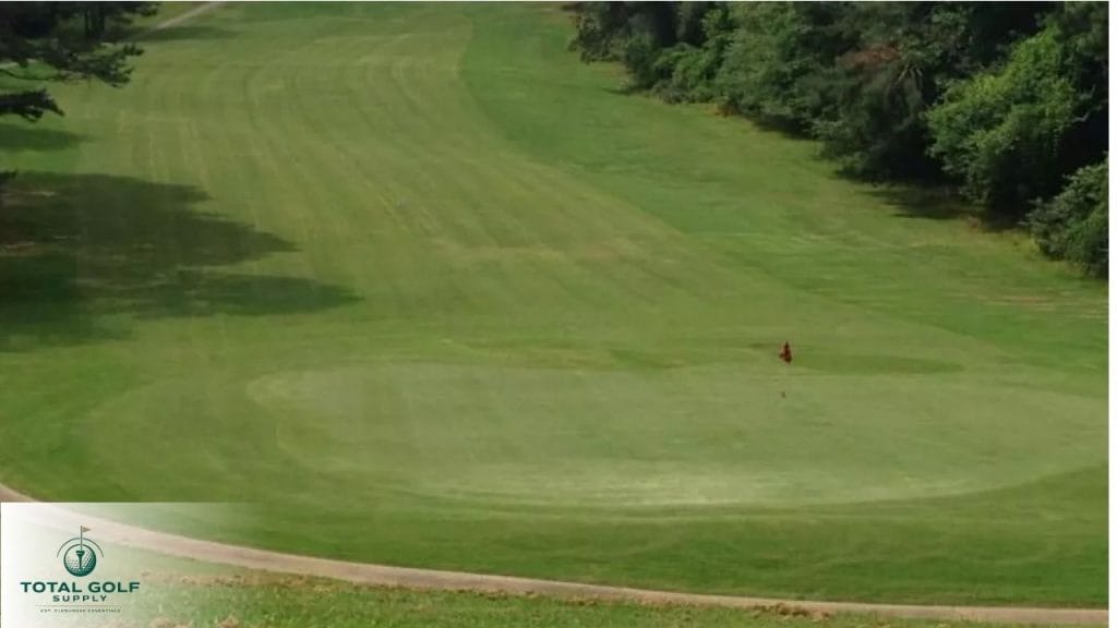 Best Golf Courses near Carrollton, GA