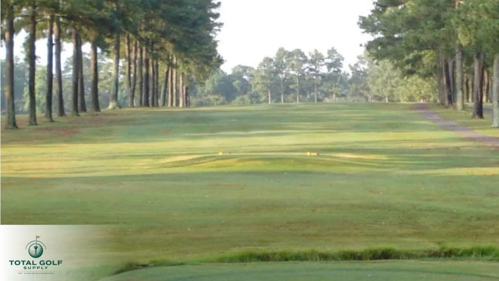Best Golf Courses near Clayton, NC