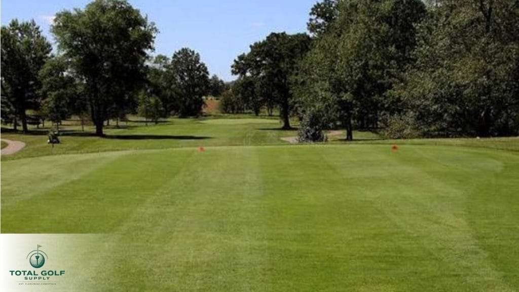 Best Golf Courses near Clio, MI