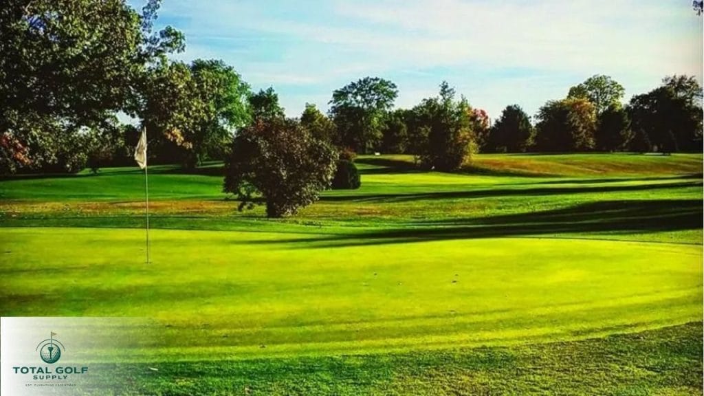 Best Golf Courses near Coldwater, MI