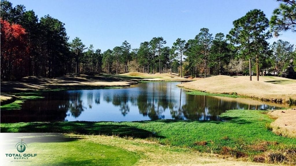 Best Golf Courses near Cypress, TX