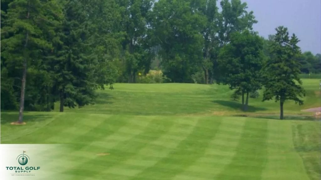 Best Golf Courses near Davison, MI