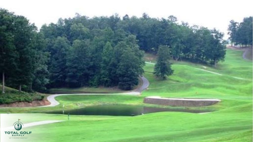 Best Golf Courses near Dawsonville, GA