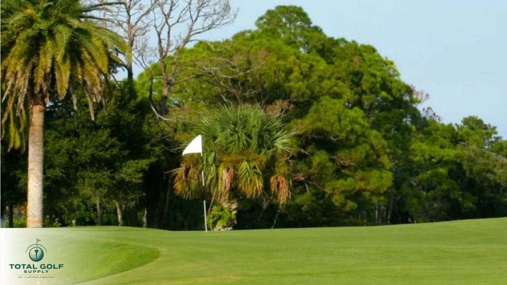 Best Golf Courses near Daytona Beach, FL