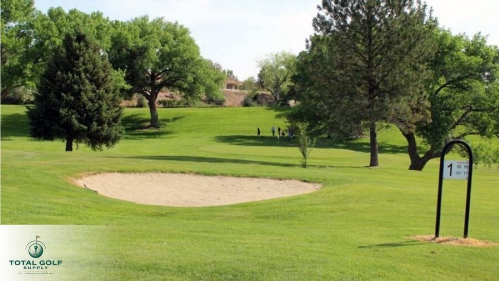 Best Golf Courses near Durango, CO