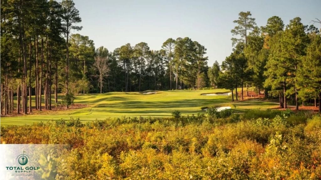Best Golf Courses near Durham, NC