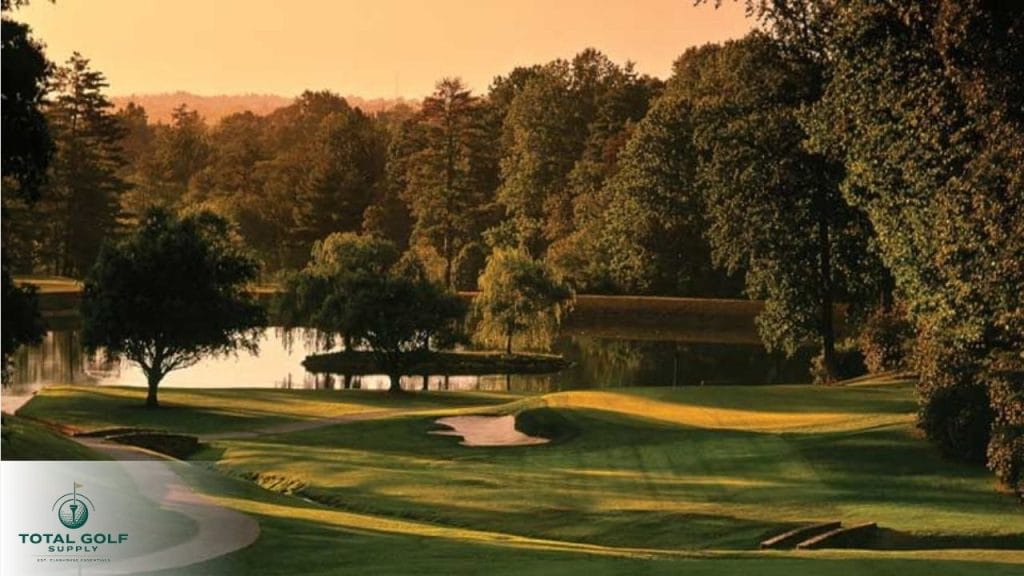 Best Golf Courses near Flat Rock, NC