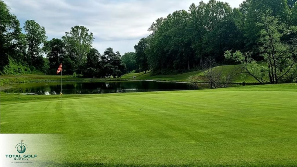 Best Golf Courses near Front Royal, VA
