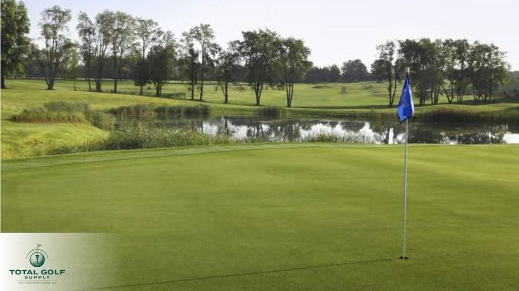 Best Golf Courses near Georgetown, TX