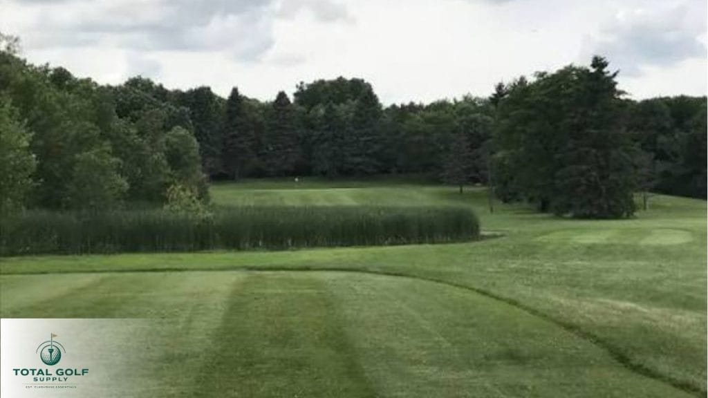 Best Golf Courses near Golden, CO