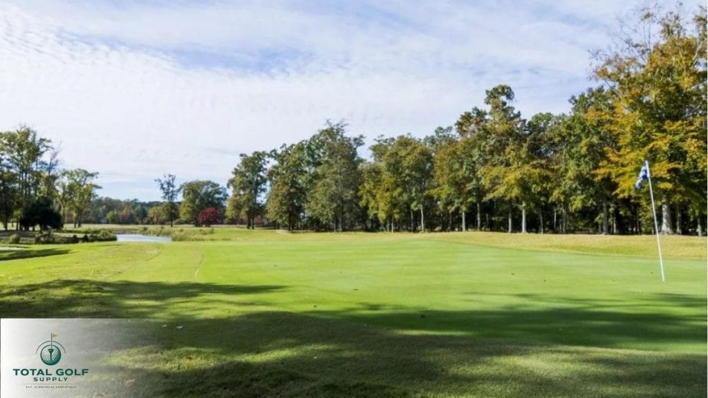 Best Golf Courses near Greenville, NC