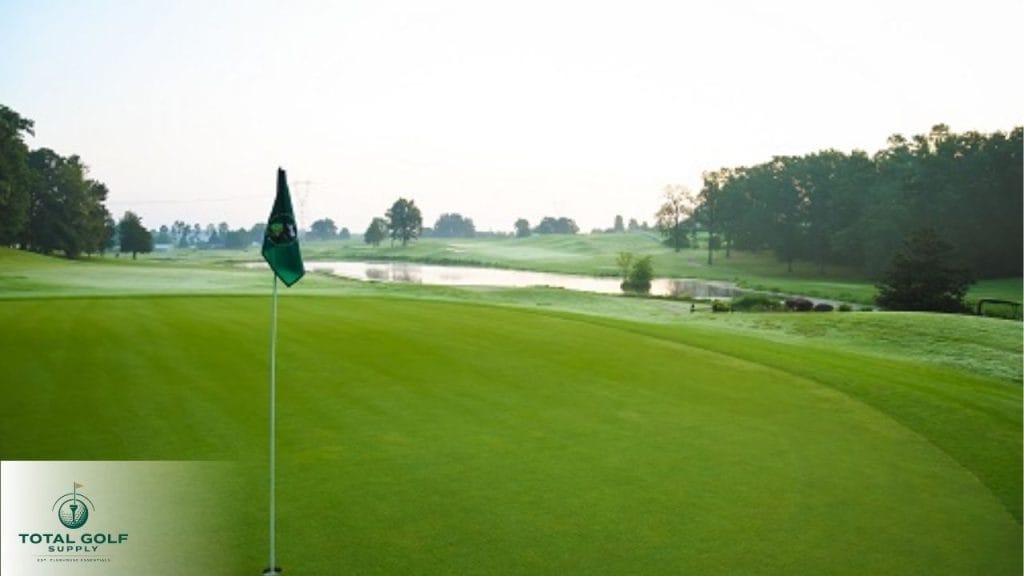 Best Golf Courses near High Point, NC