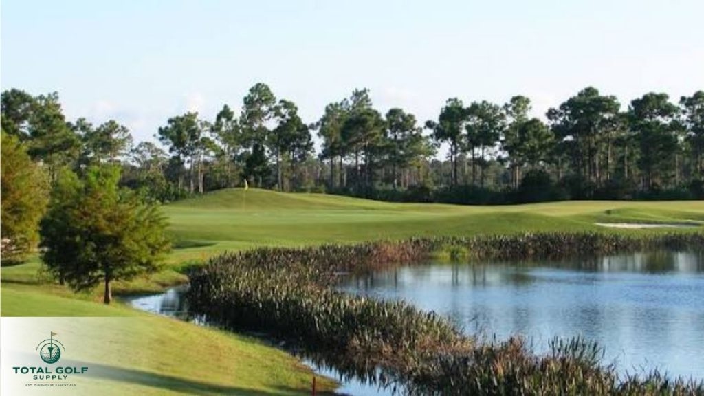 Best Golf Courses near Hobe Sound, FL