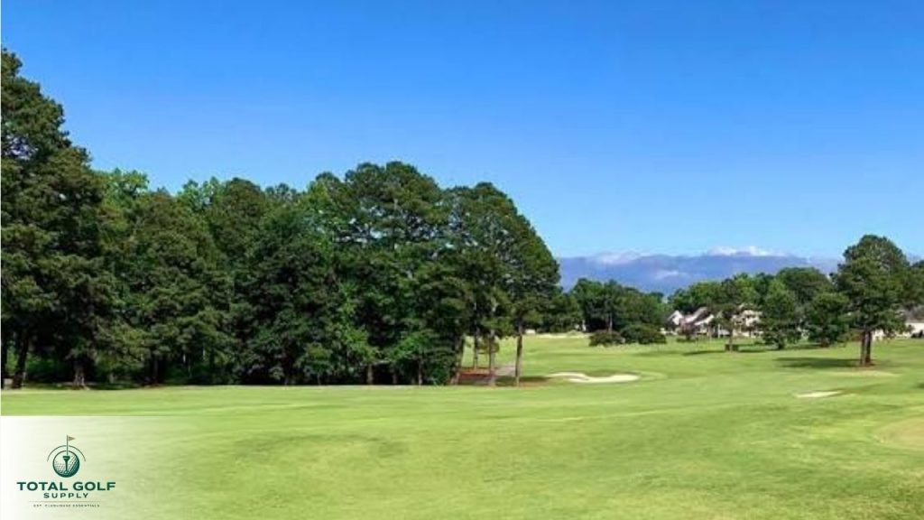 Best Golf Courses near Holly Springs, NC