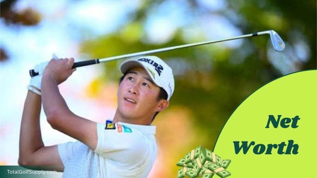 Rikuya Hoshino's Net Worth